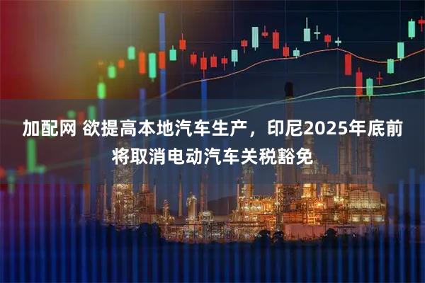 加配网 欲提高本地汽车生产，印尼2025年底前将取消电动汽车关税豁免