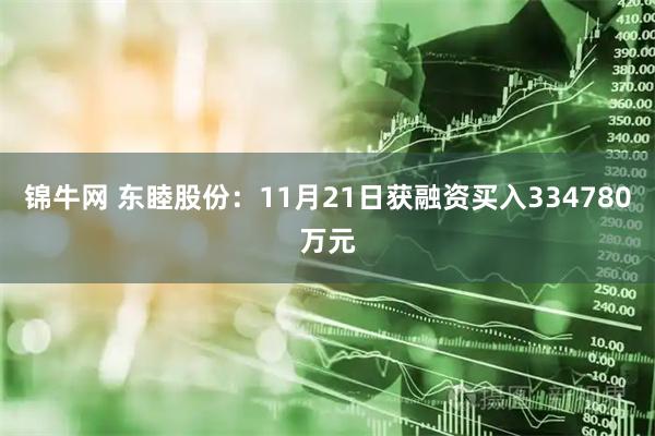 锦牛网 东睦股份：11月21日获融资买入334780万元