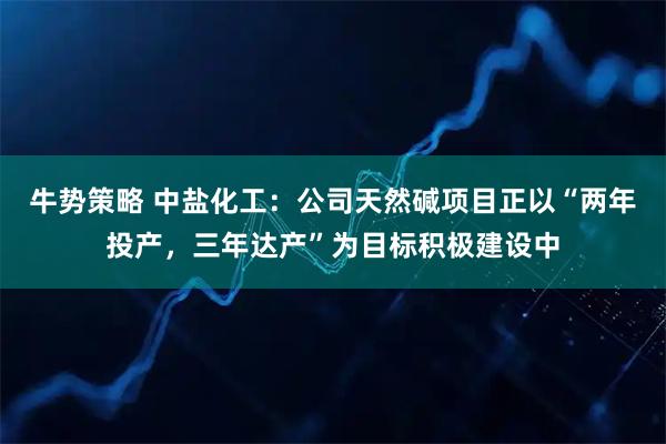 牛势策略 中盐化工：公司天然碱项目正以“两年投产，三年达产”为目标积极建设中