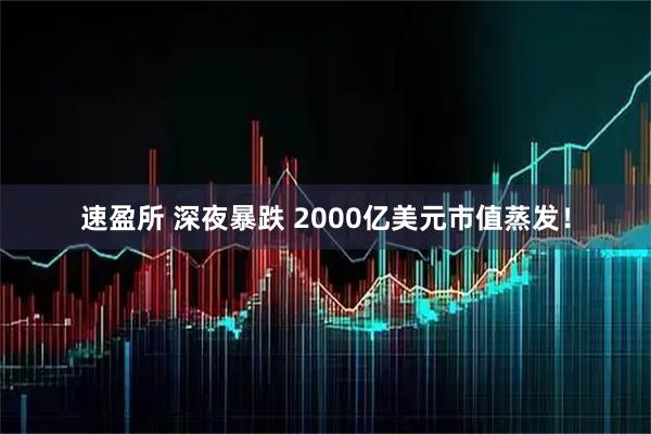 速盈所 深夜暴跌 2000亿美元市值蒸发！